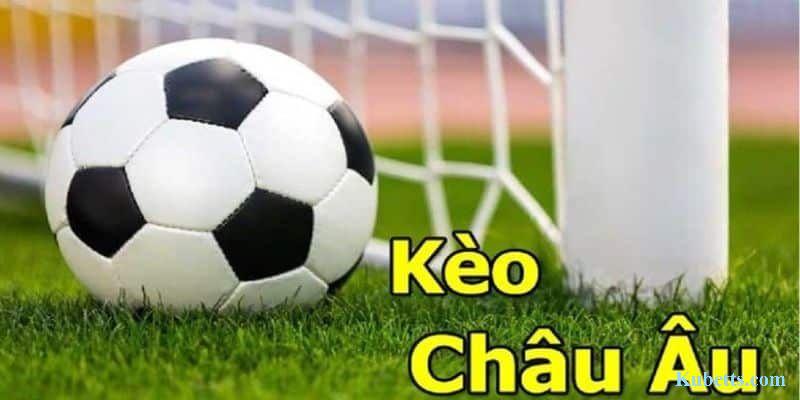 Sân chơi cá độ SHBET đẳng cấp hàng đầu thị trường