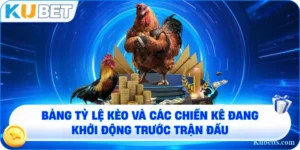 da ga online kubet sanh cuoc dang cap va uy tin so 1 2026 1 - KUBET