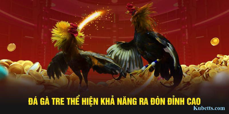 Đá Gà Campuchia – Giải Đấu Chiến Kê Kubet Thu Hút Nhiều Người Xem 2 Đá gà tre thể hiện khả năng ra đòn đỉnh cao