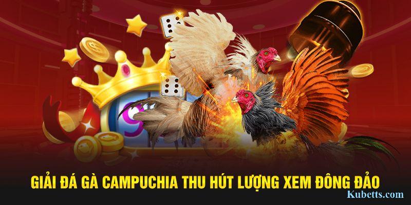 Đá Gà Campuchia – Giải Đấu Chiến Kê Kubet Thu Hút Nhiều Người Xem 1 Giải đá gà Campuchia thu hút lượng xem đông đảo